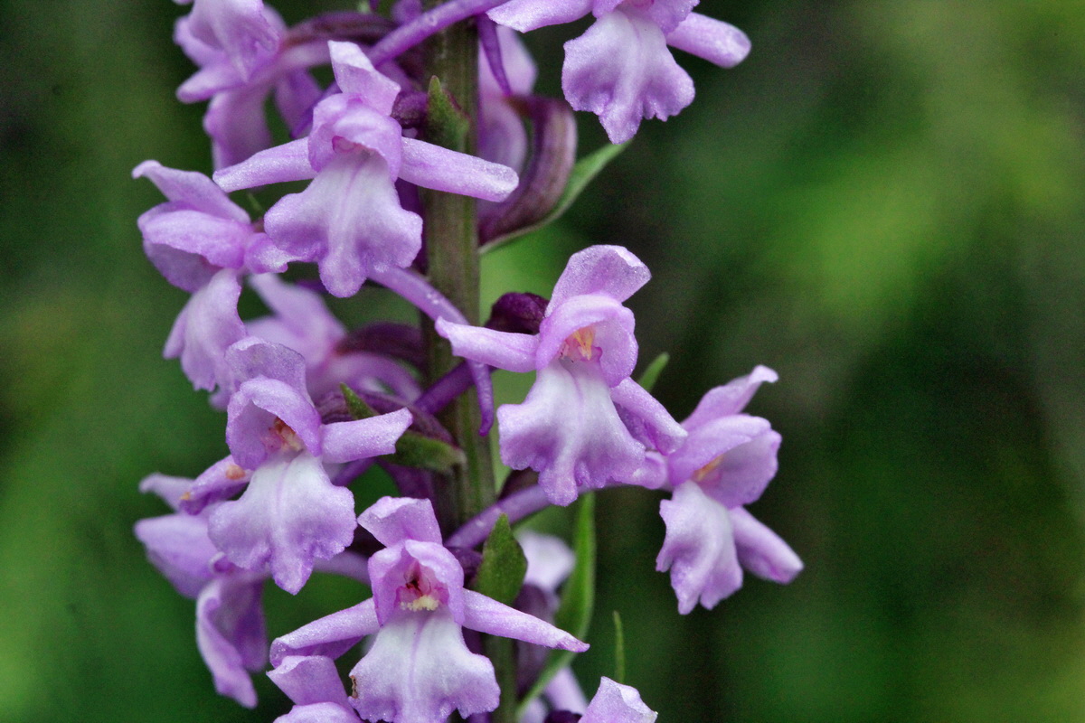 2014_07_28_00005874p_Bildgr��e �ndern