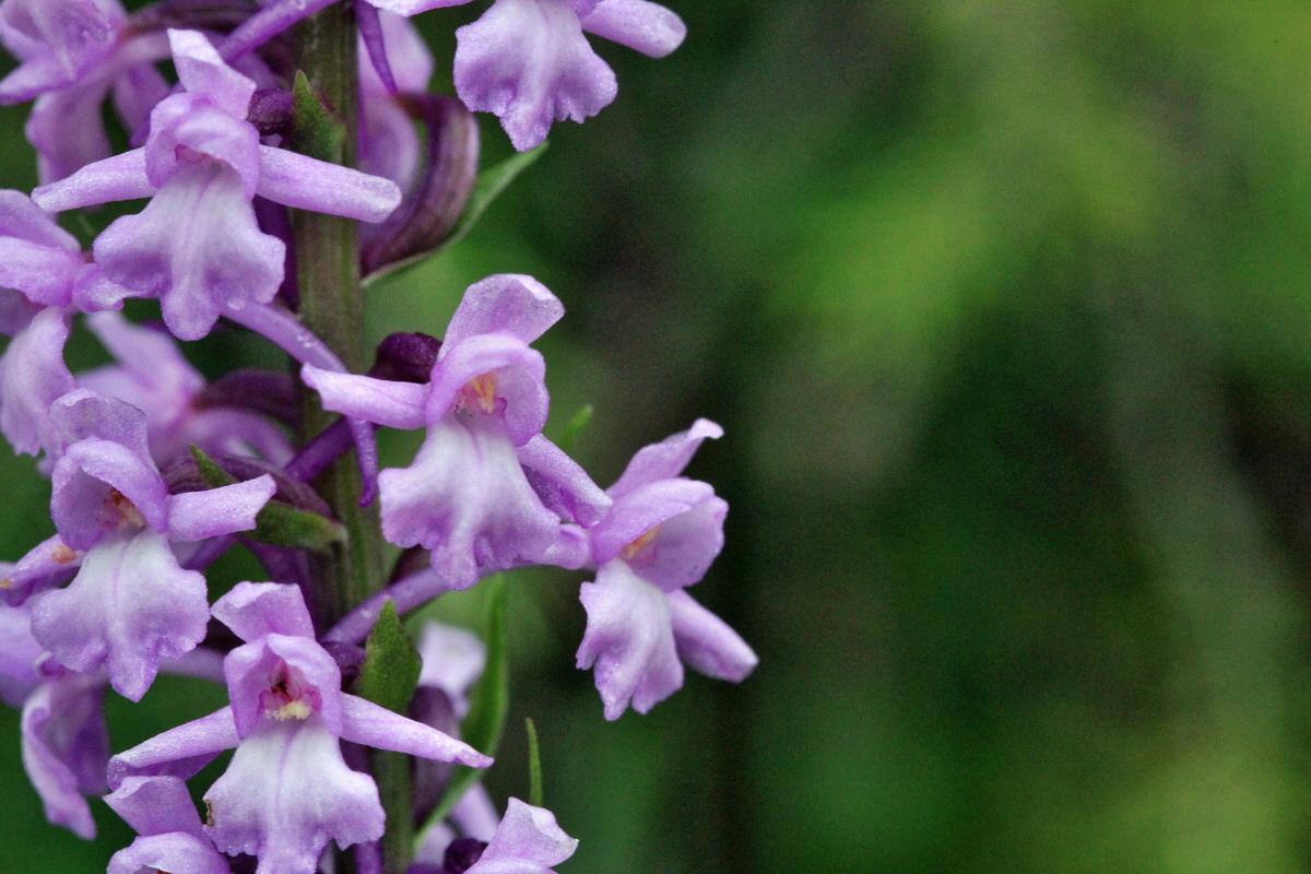 2014_07_28_00005876p_Bildgr��e �ndern