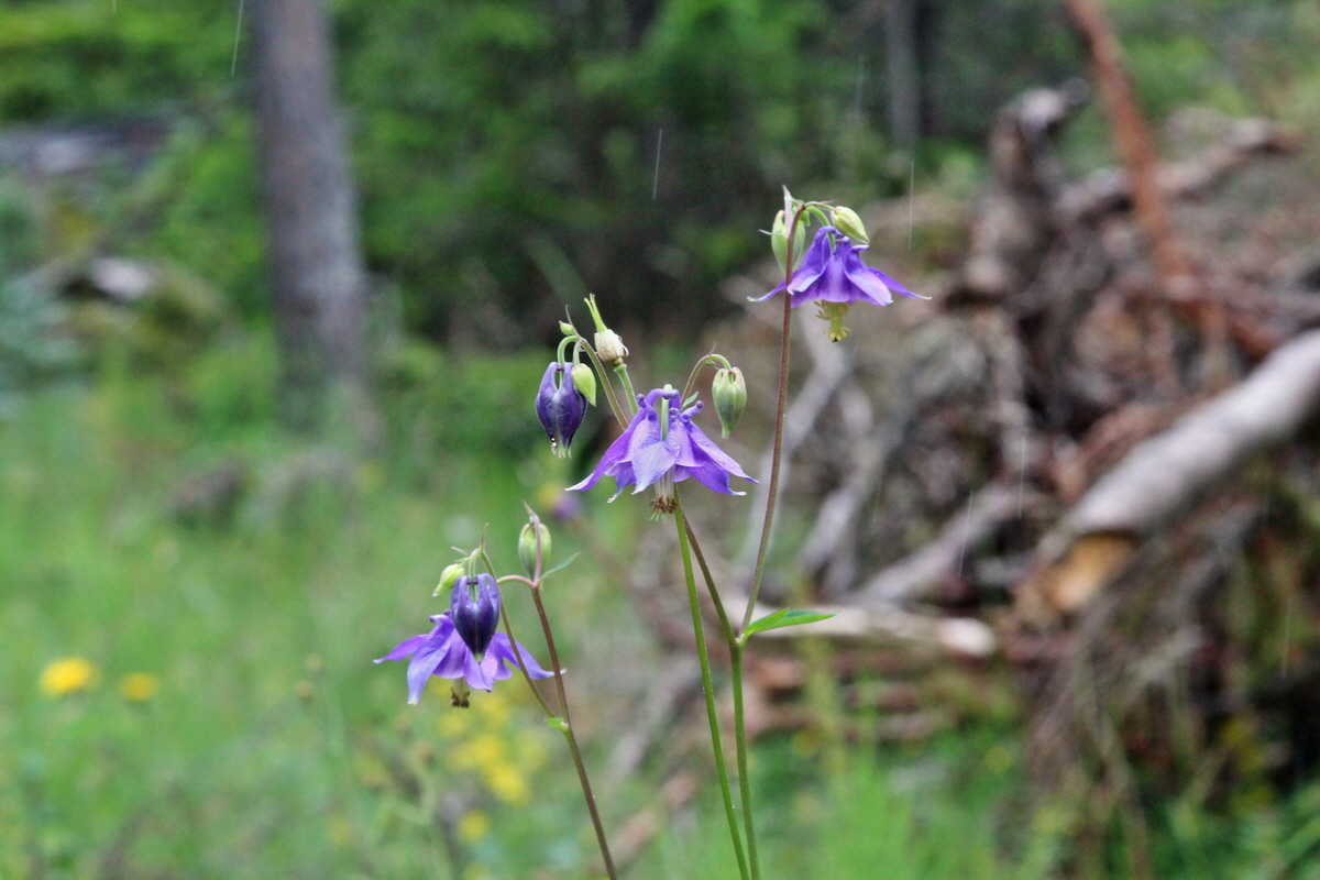 2014_07_28_00005878p_Bildgr��e �ndern