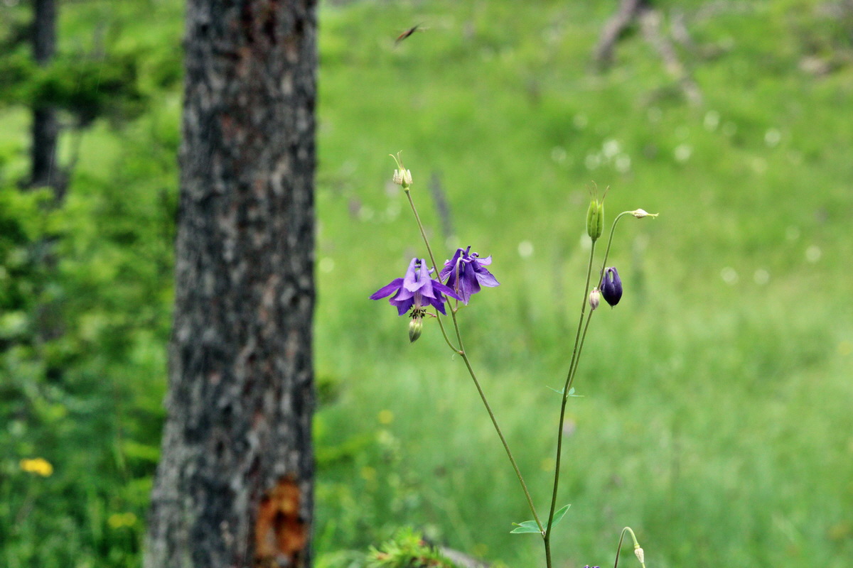 2014_07_28_00005880p_Bildgr��e �ndern