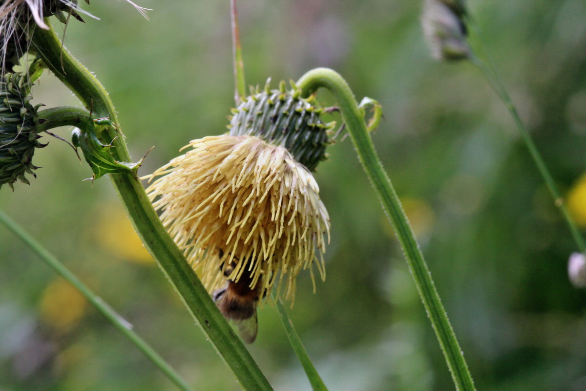 2014_07_28_00005898p_Bildgr��e �ndern