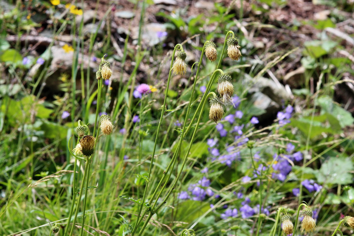 2014_07_28_00005904p_Bildgr��e �ndern