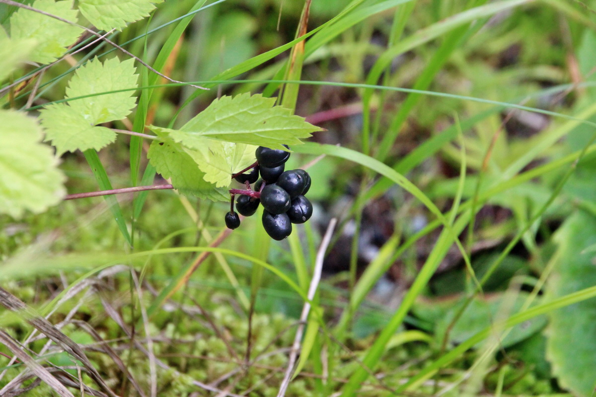 2014_07_28_00005913p_Bildgr��e �ndern