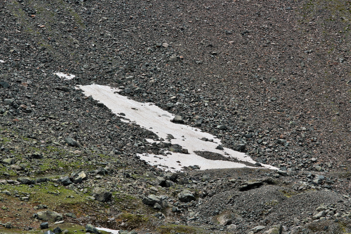 2014_07_29_00006322p_Bildgr��e �ndern