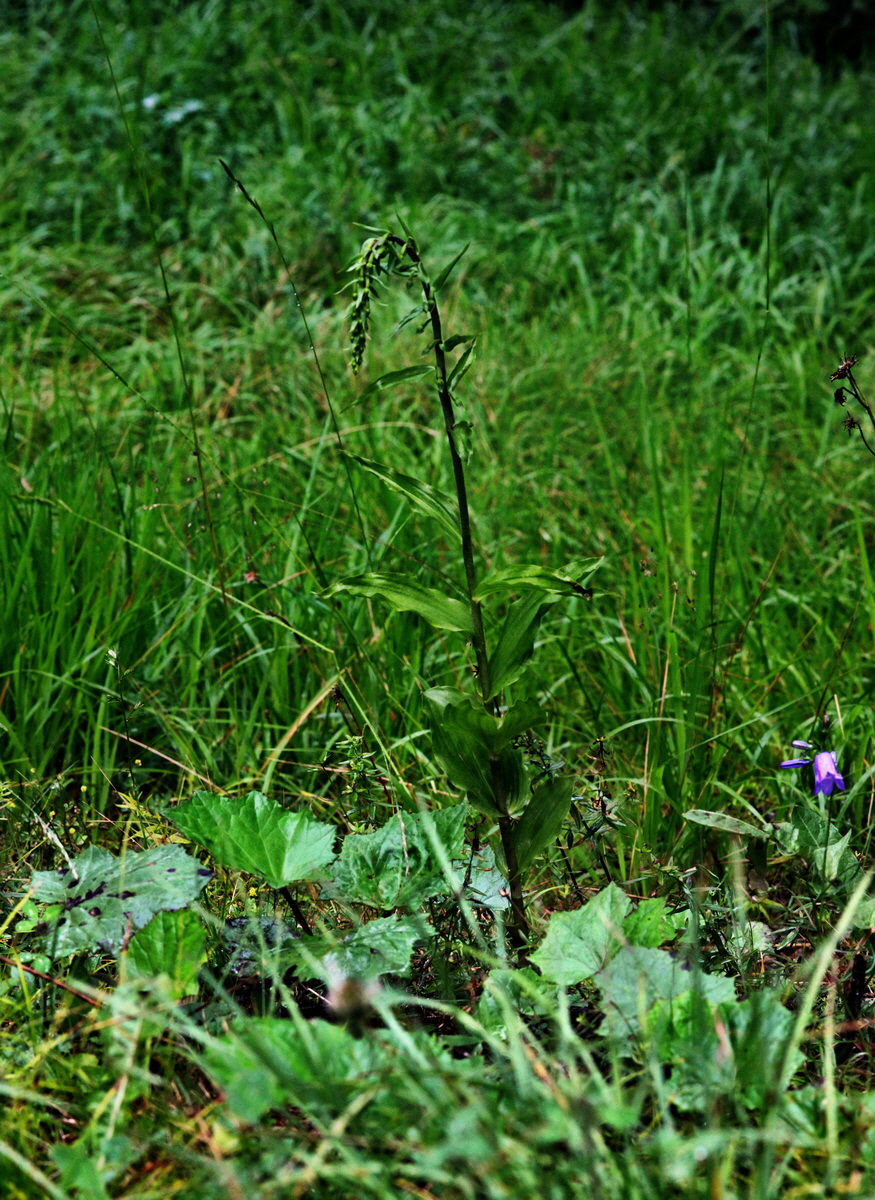 [Group 1]-2014_07_29_00006007_2014_07_29_00006012-3 imagesp_Bildgr��e �ndern