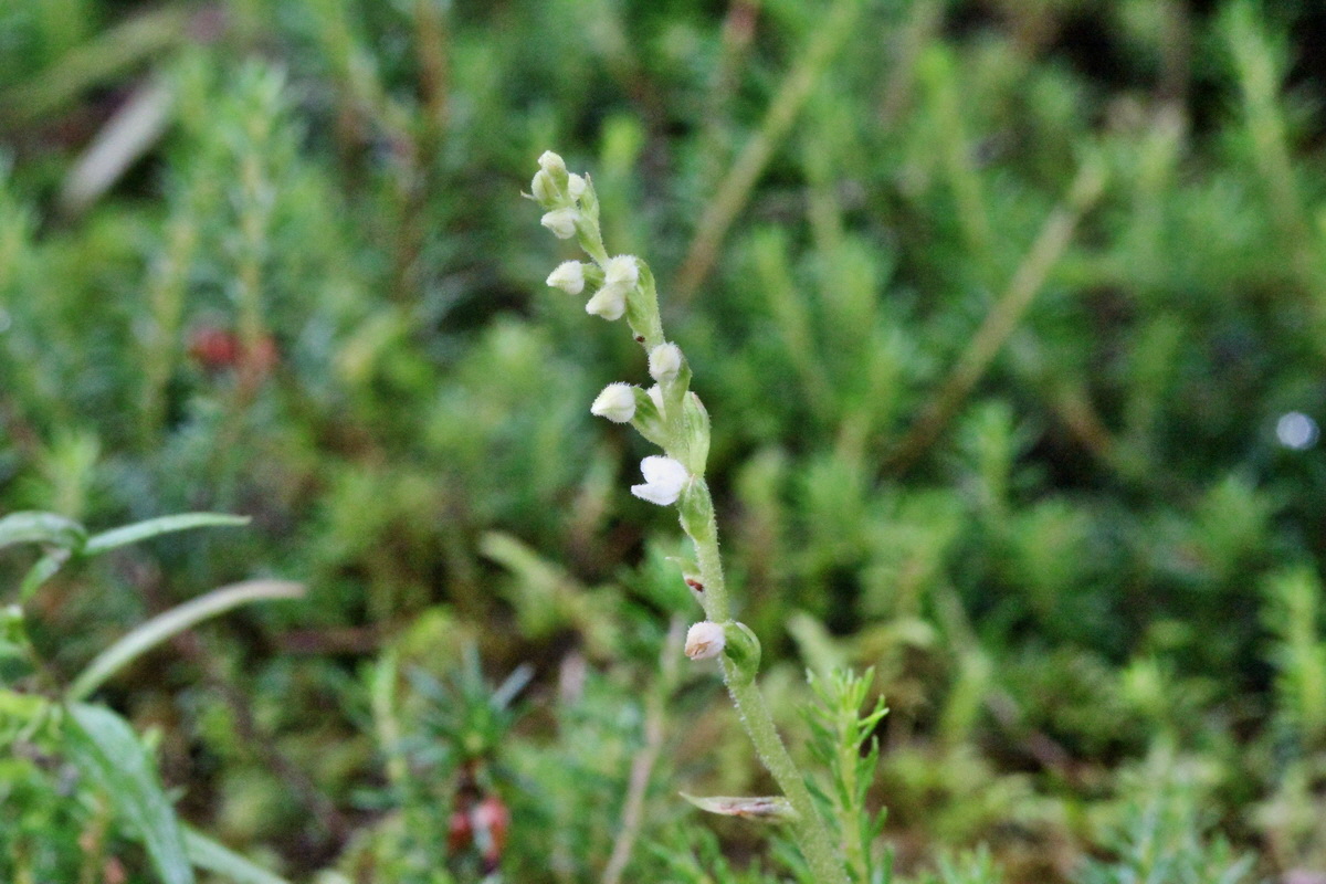 2014_07_29_00006004p_Bildgr��e �ndern