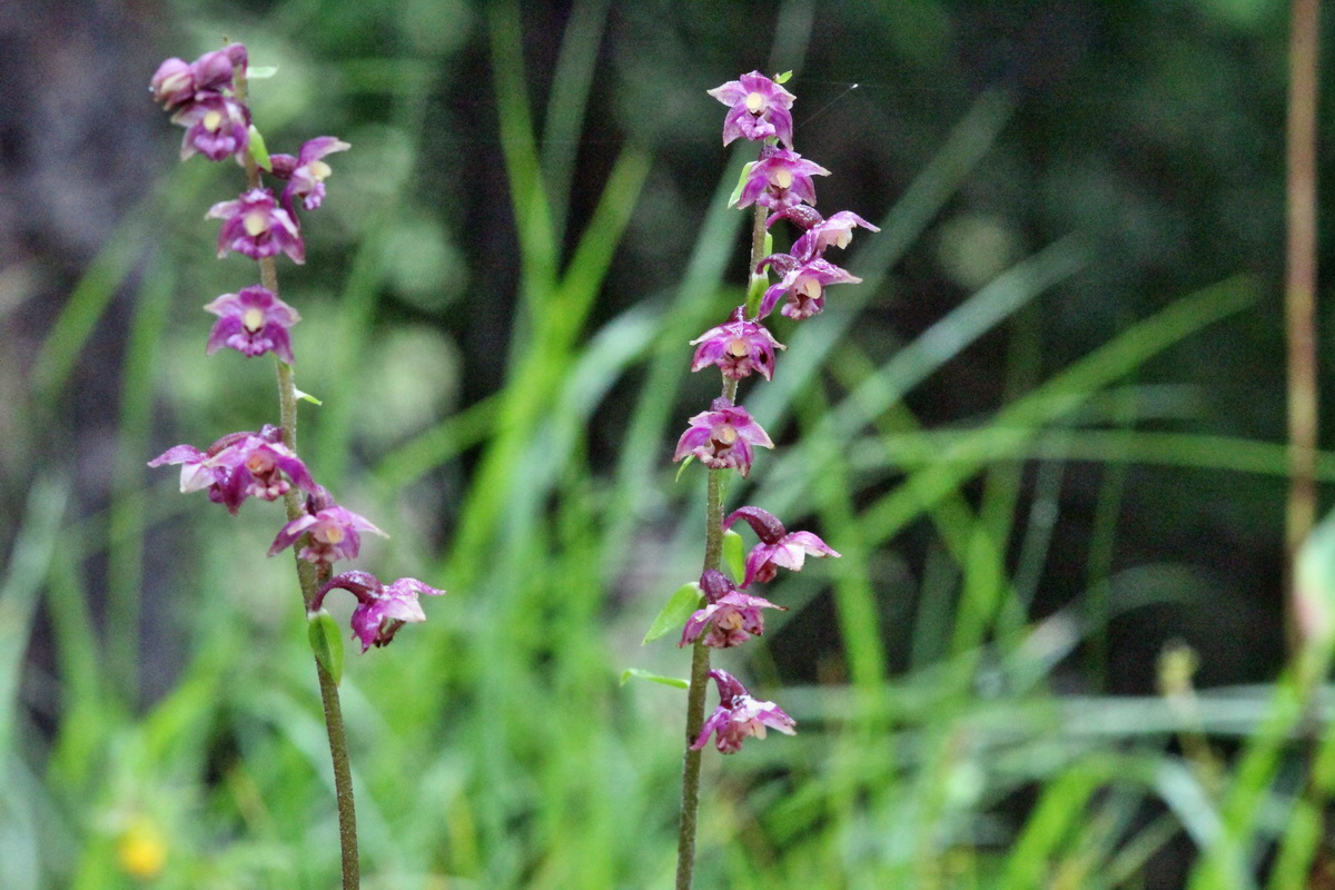 2014_07_29_00006006p_Bildgr��e �ndern