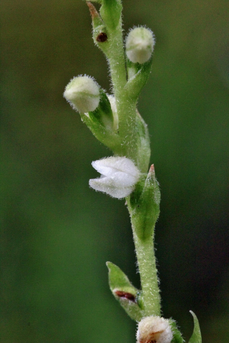 2014_07_29_00006014p_Bildgr��e �ndern