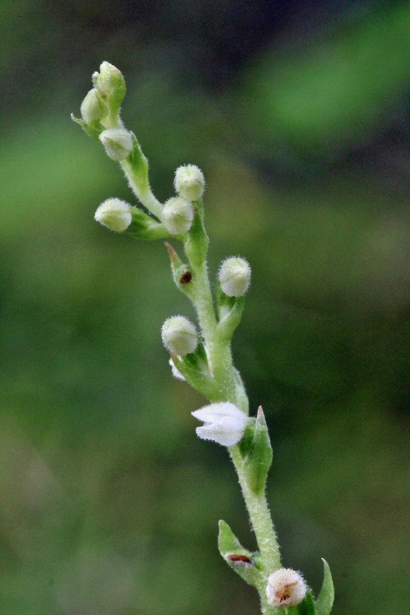 2014_07_29_00006016p_Bildgr��e �ndern