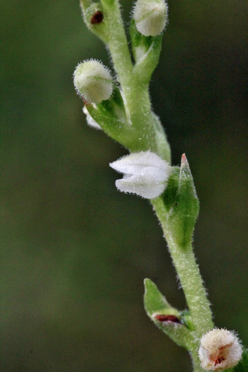 2014_07_29_00006017p_Bildgr��e �ndern