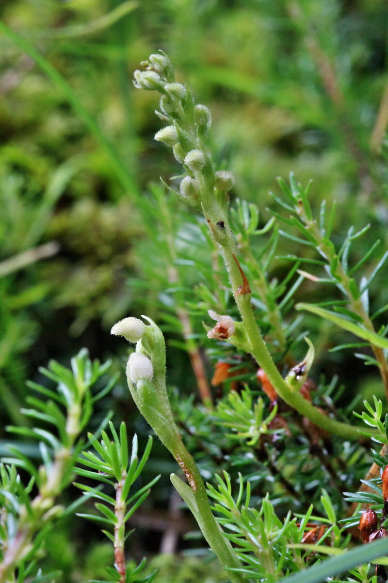 2014_07_29_00006021p_Bildgr��e �ndern