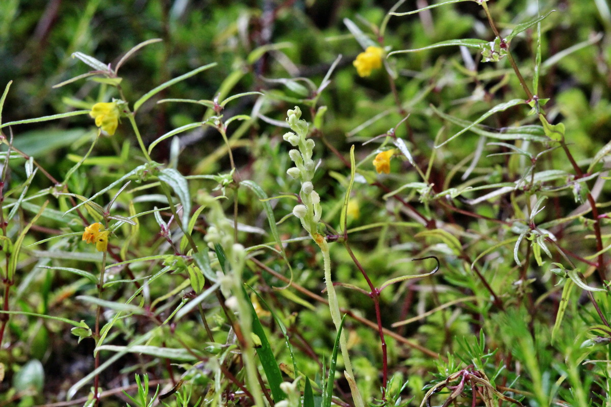 2014_07_29_00006024p_Bildgr��e �ndern