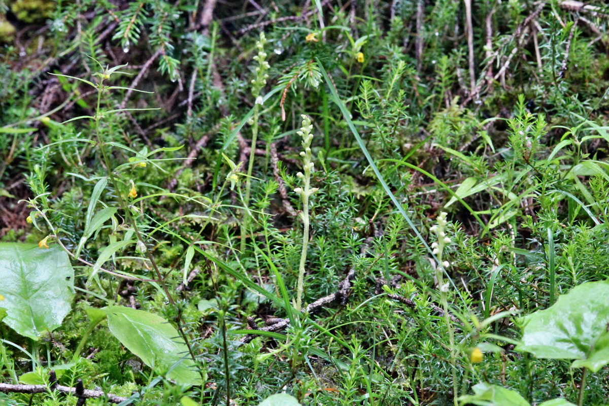 2014_07_29_00006030p_Bildgr��e �ndern