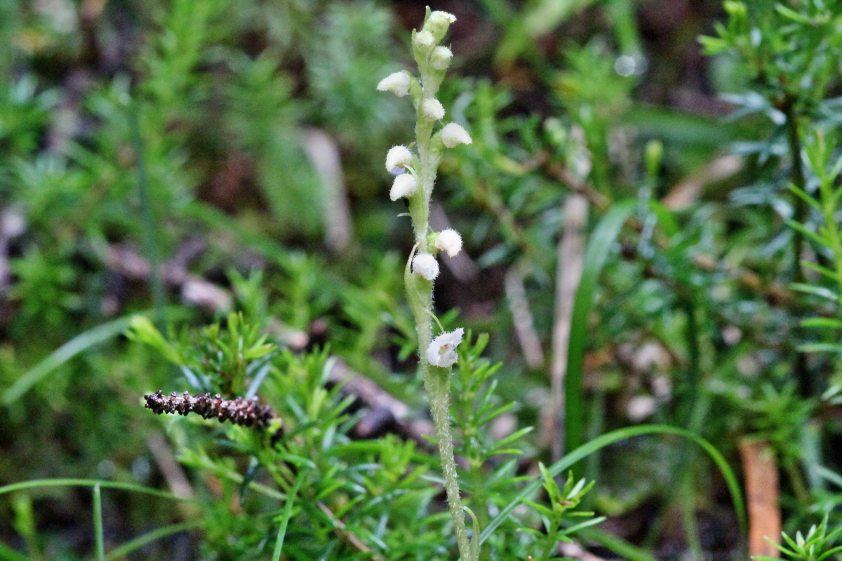 2014_07_29_00006033p_Bildgr��e �ndern