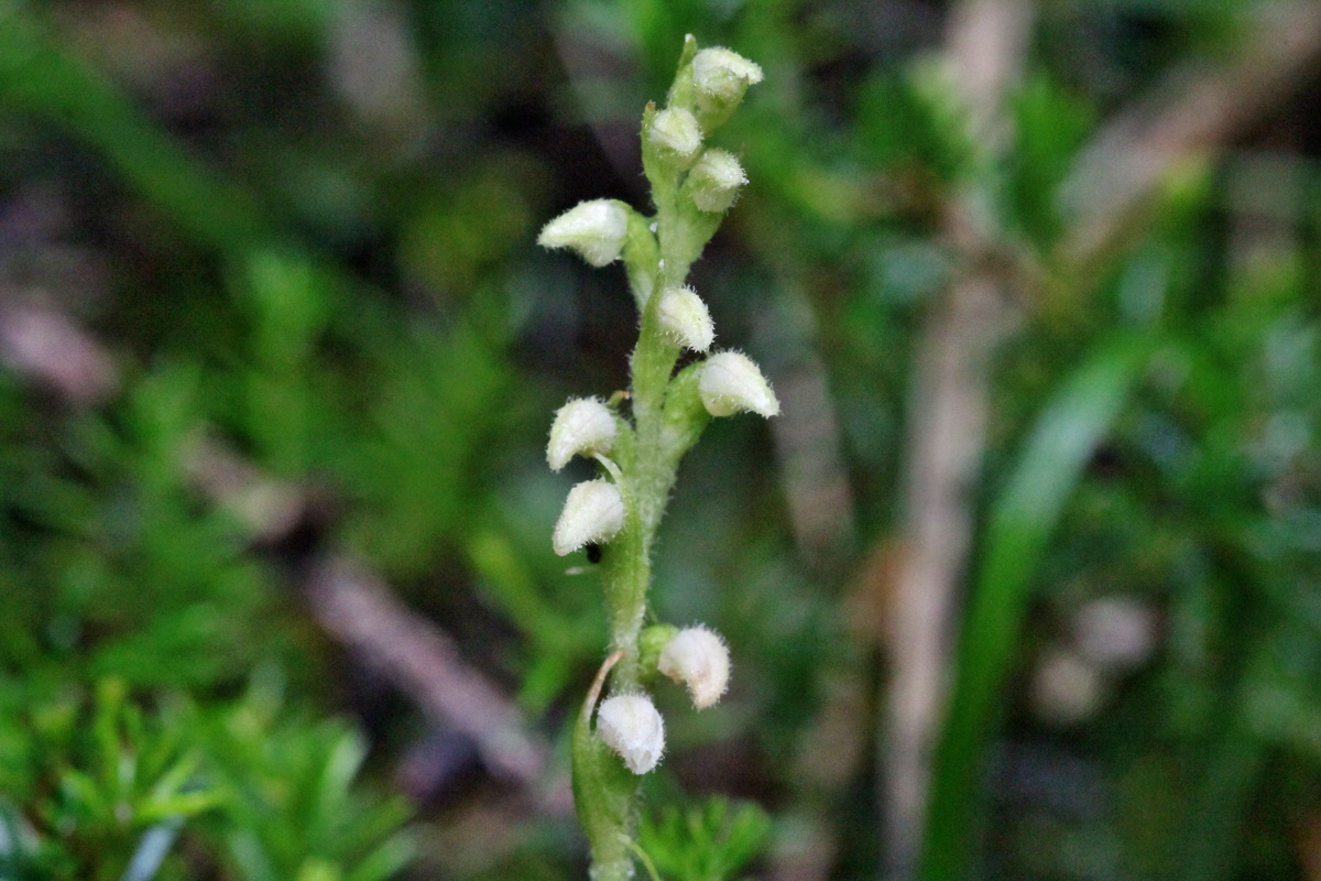 2014_07_29_00006039p_Bildgr��e �ndern