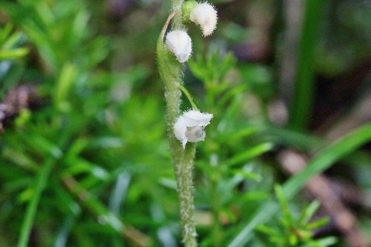 2014_07_29_00006042p_Bildgr��e �ndern