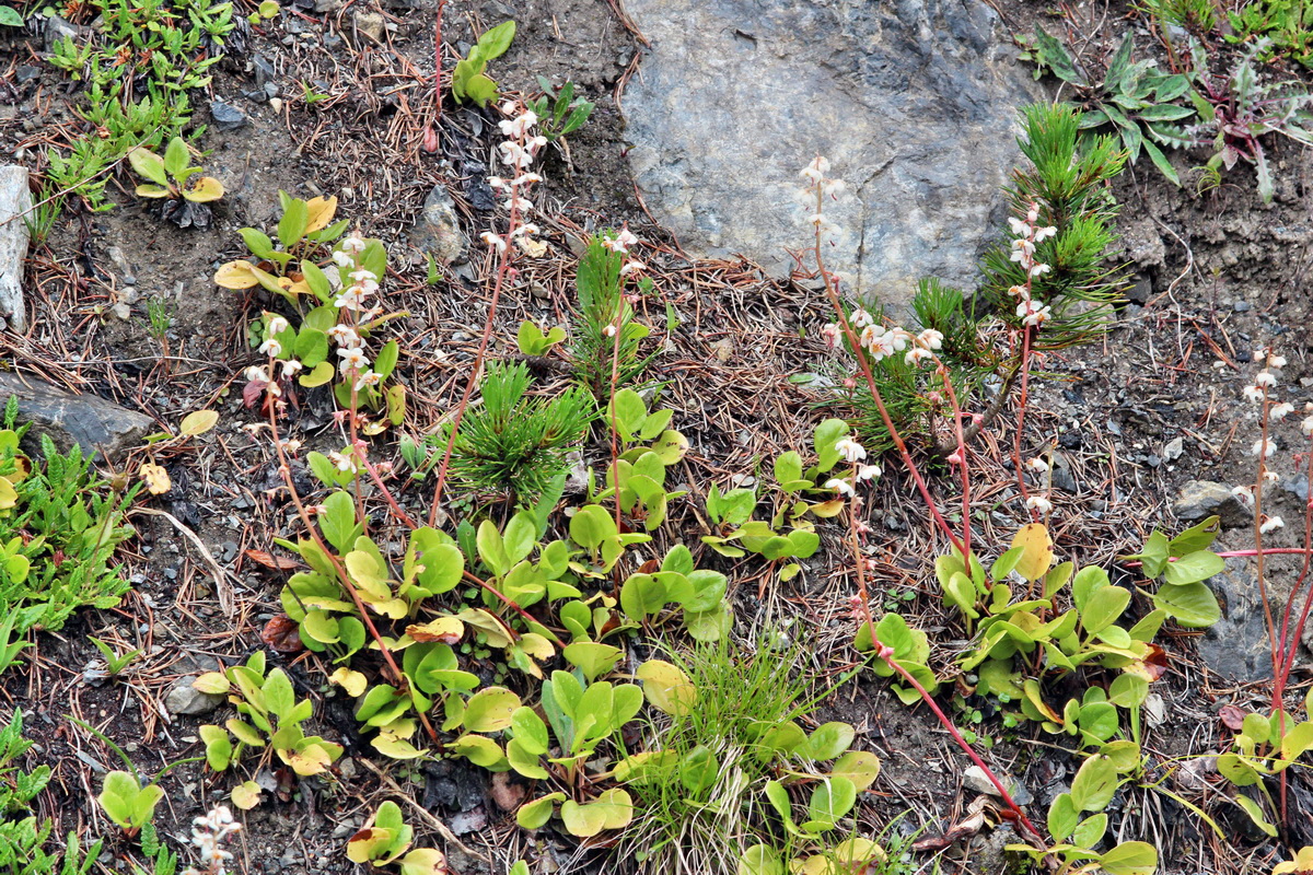 2014_07_29_00006186p_Bildgr��e �ndern