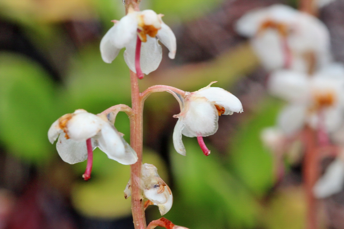 2014_07_29_00006188p_Bildgr��e �ndern