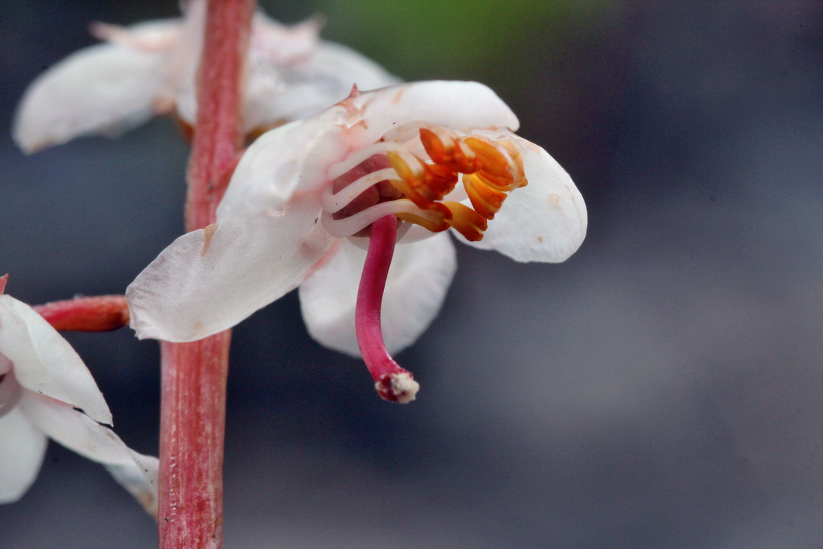 2014_07_29_00006191p_Bildgr��e �ndern