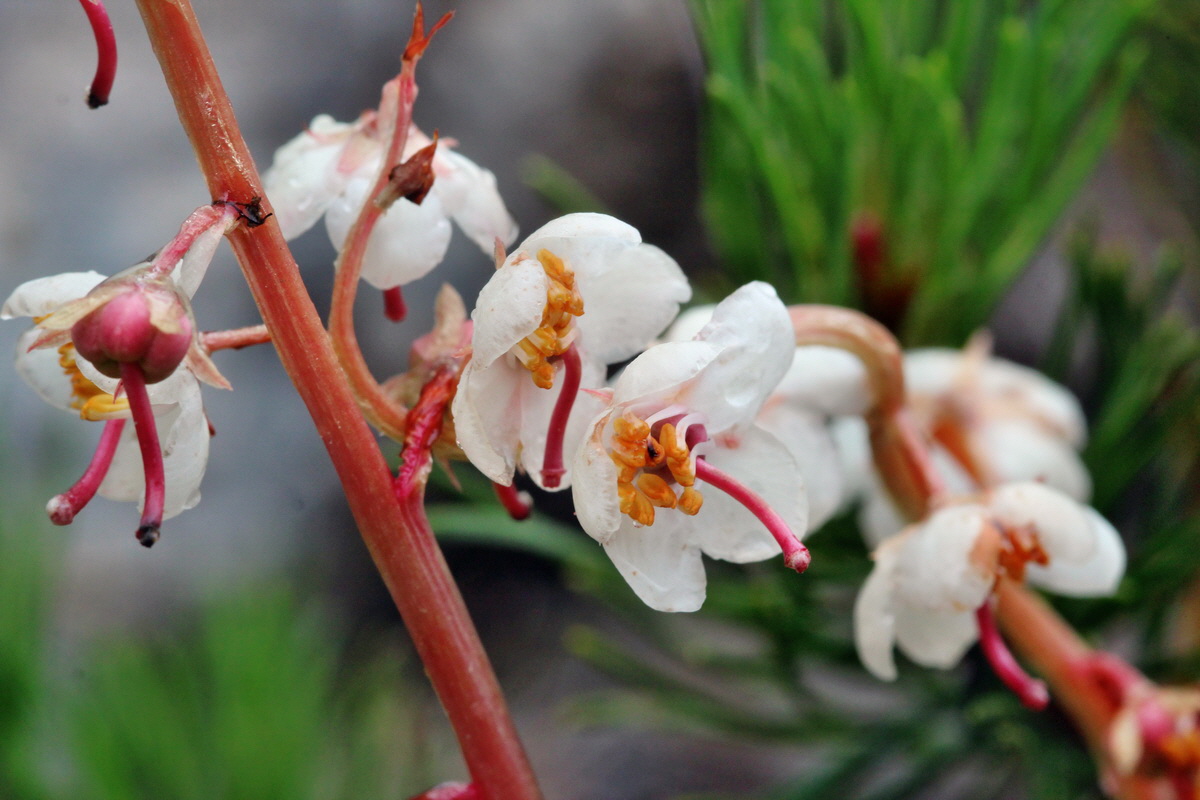 2014_07_29_00006194p_Bildgr��e �ndern