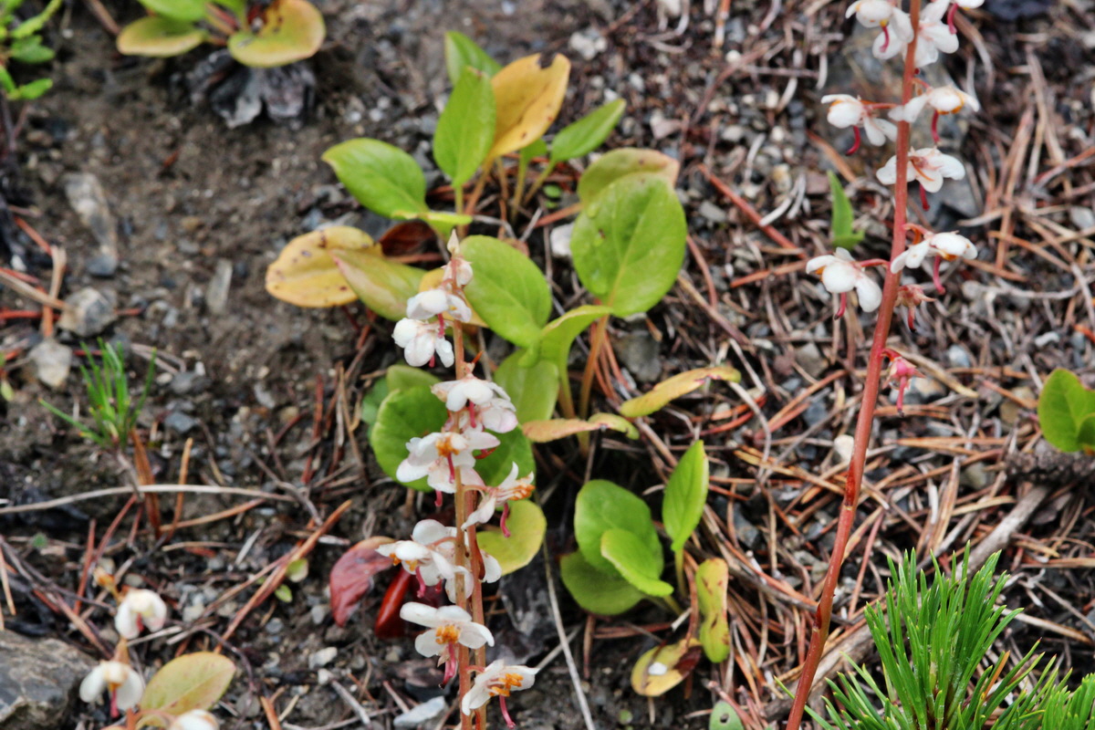 2014_07_29_00006198p_Bildgr��e �ndern