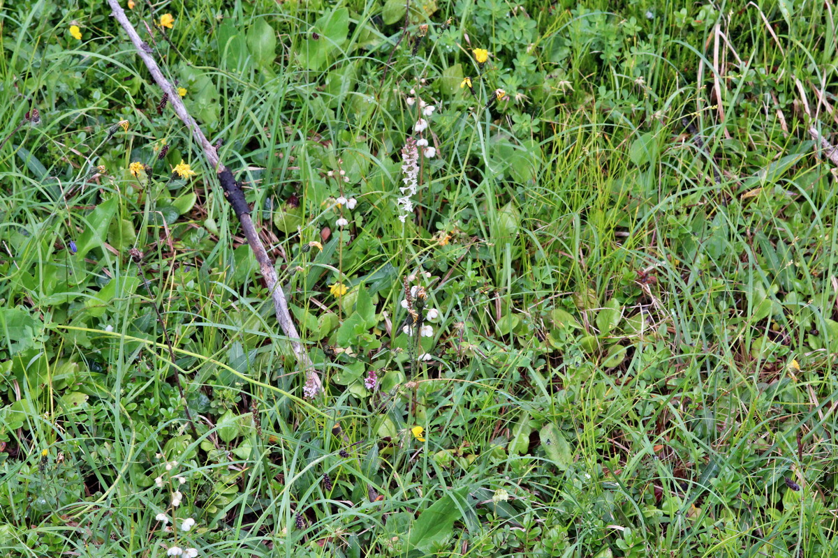 2014_07_29_00006205p_Bildgr��e �ndern