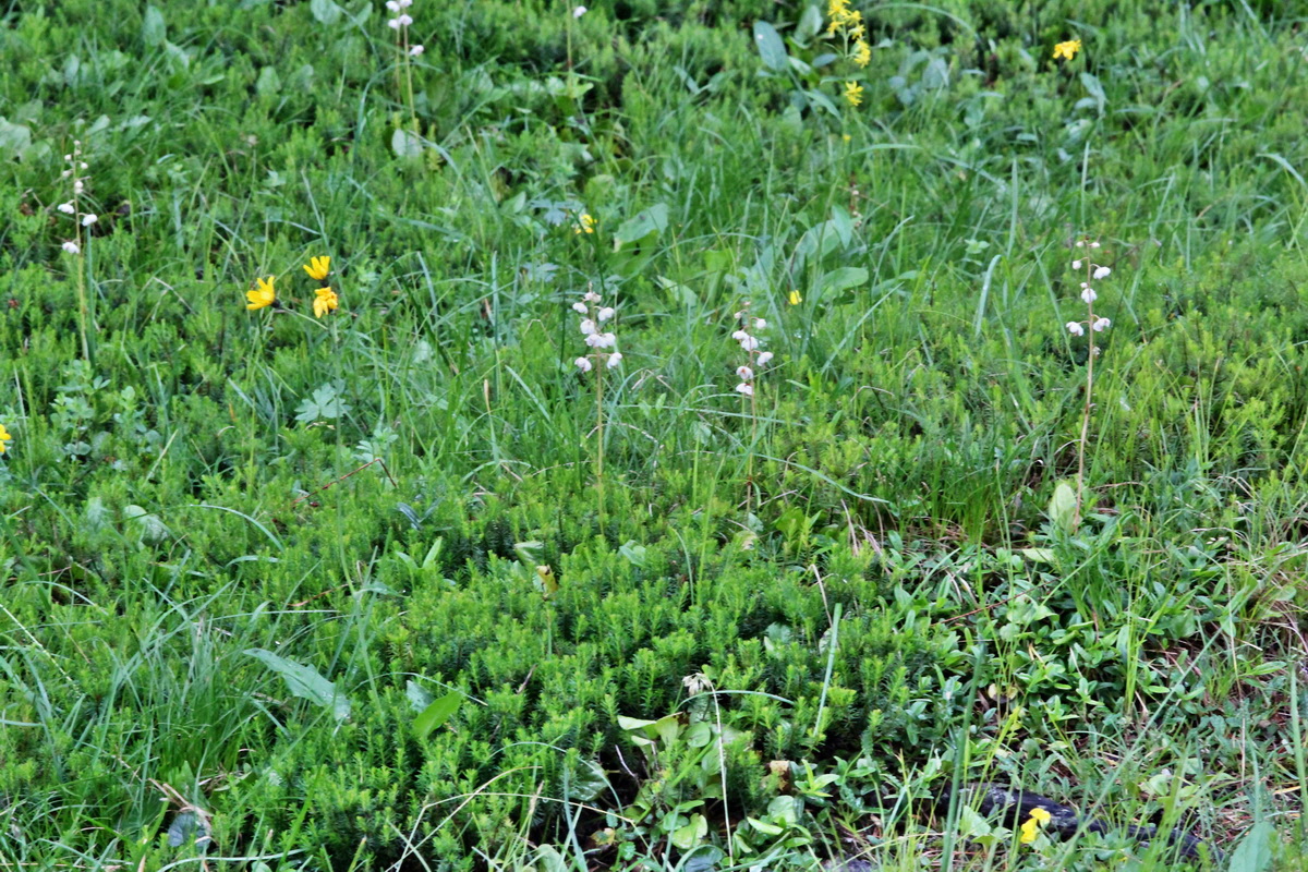 2014_07_29_00006210p_Bildgr��e �ndern