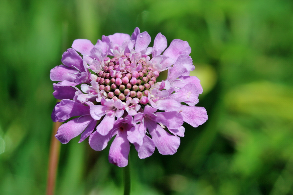 2014_07_29_00006223p_Bildgr��e �ndern