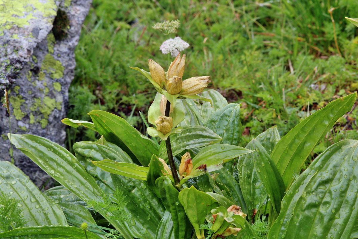 2014_07_29_00006305p_Bildgr��e �ndern