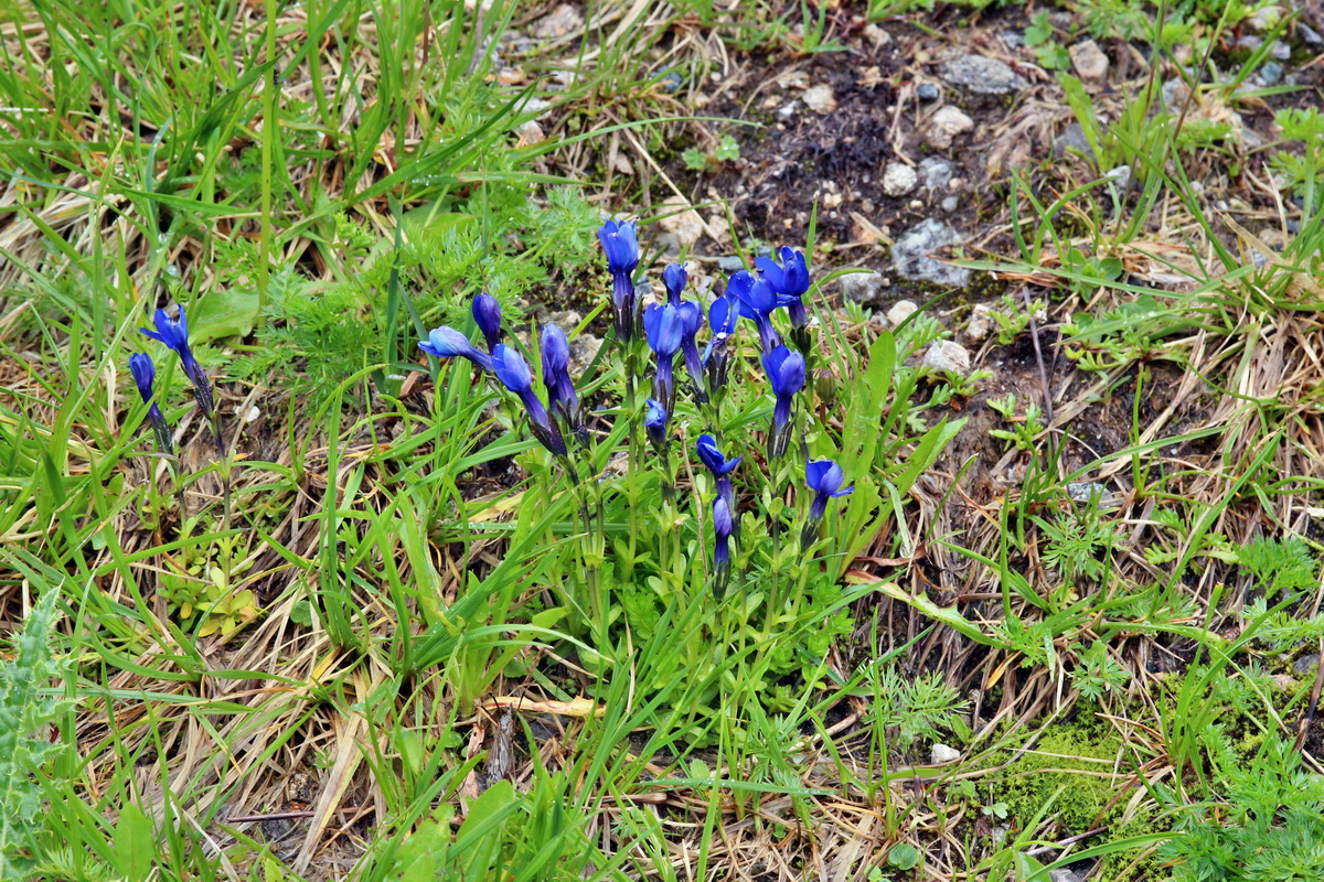 2014_07_29_00006309p_Bildgr��e �ndern