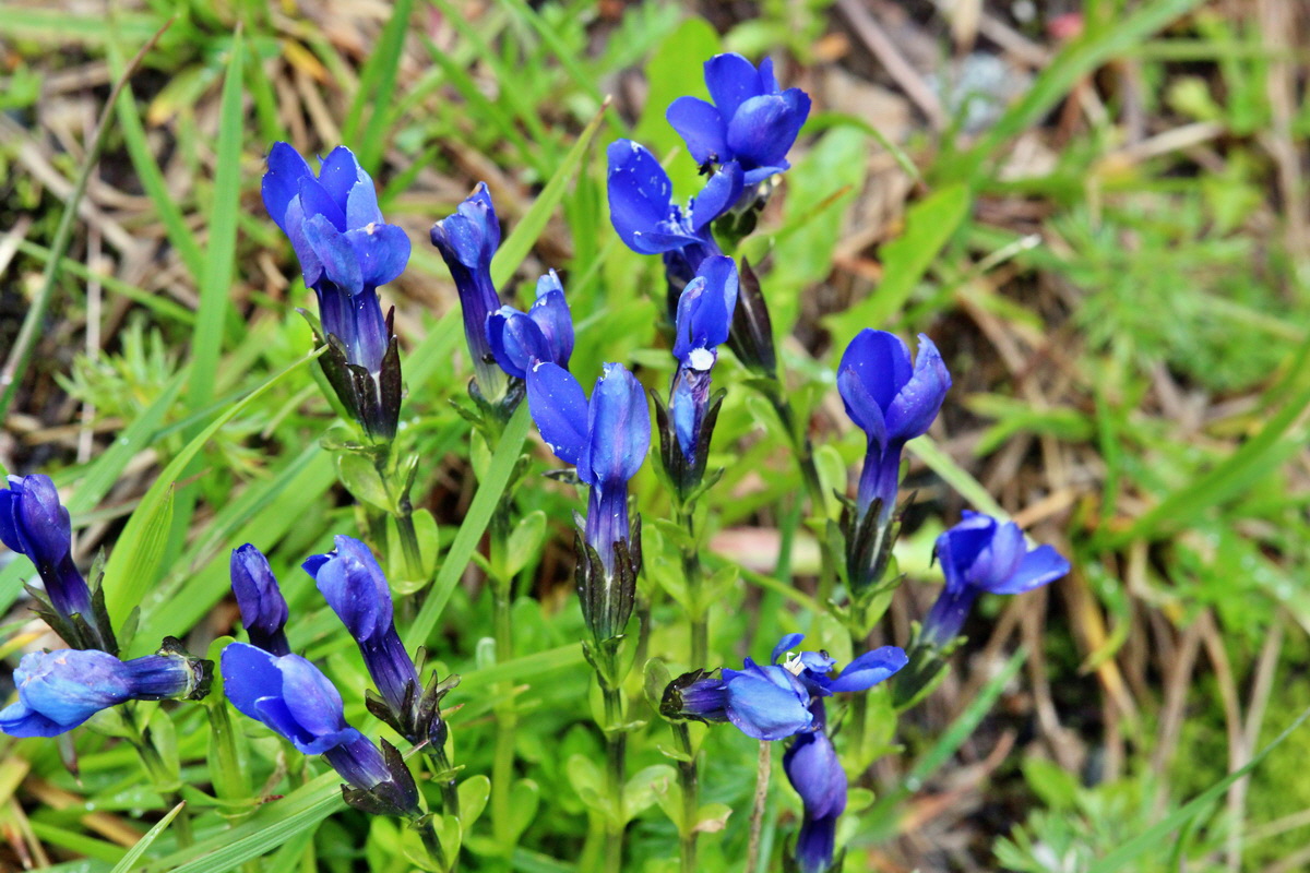 2014_07_29_00006312p_Bildgr��e �ndern