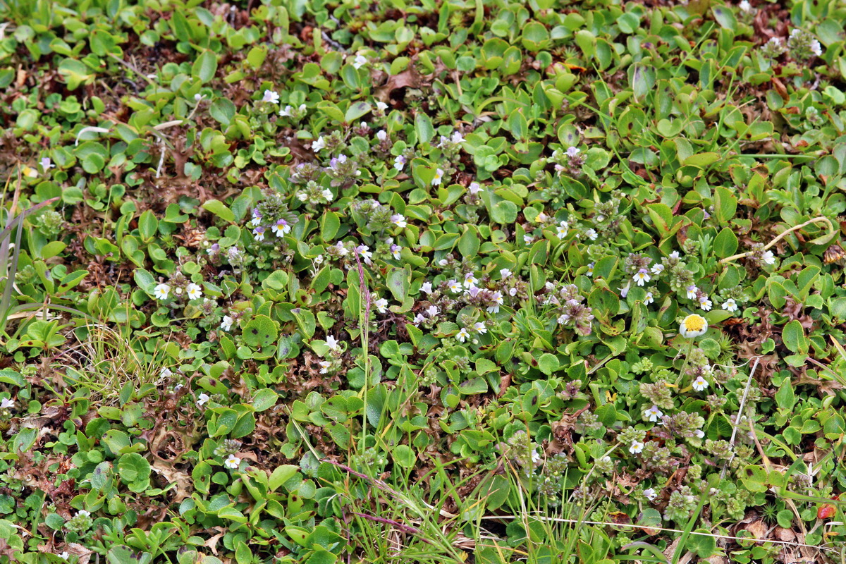 2014_07_29_00006324p_Bildgr��e �ndern