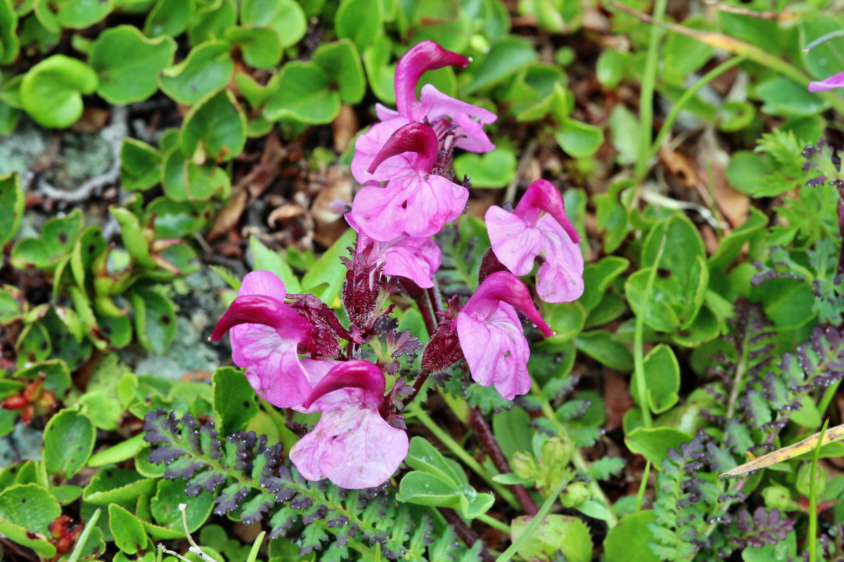 2014_07_29_00006327p_Bildgr��e �ndern