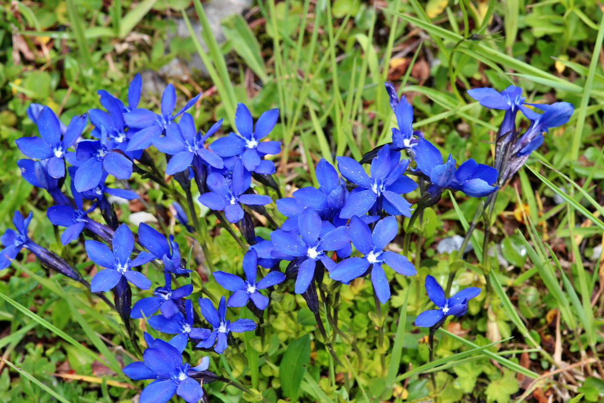 2014_07_29_00006333p_Bildgr��e �ndern