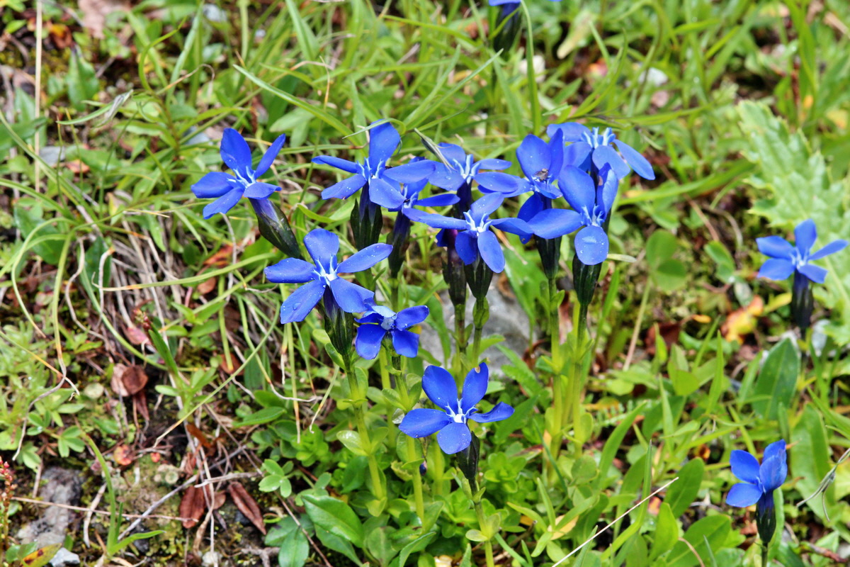 2014_07_29_00006337p_Bildgr��e �ndern