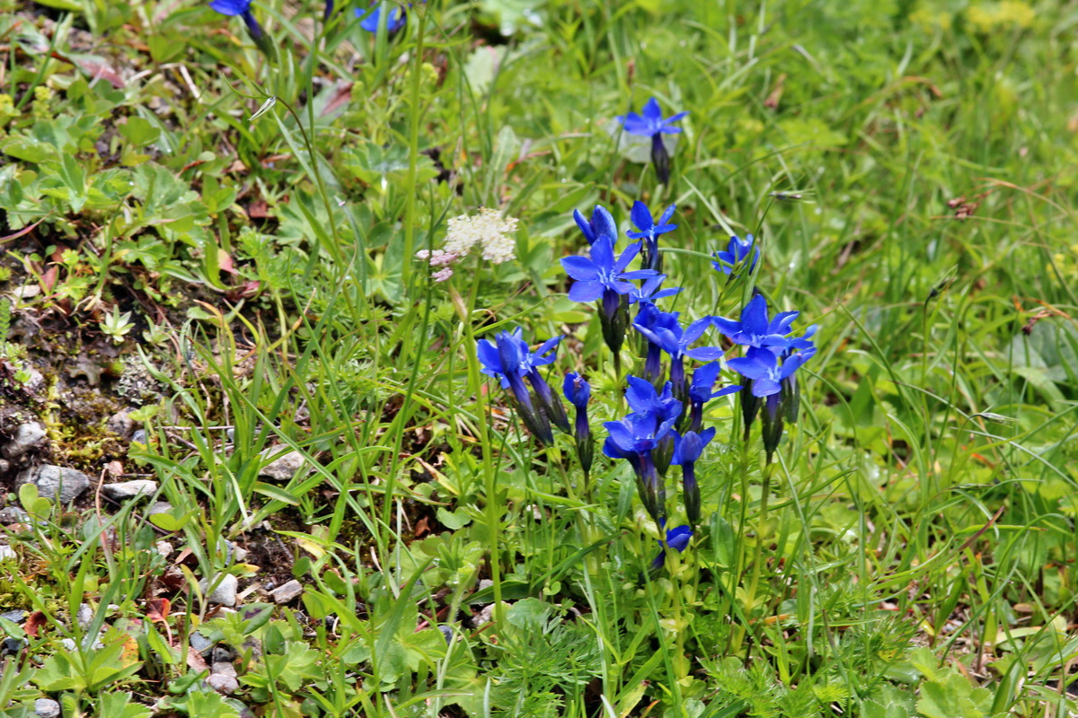 2014_07_29_00006342p_Bildgr��e �ndern