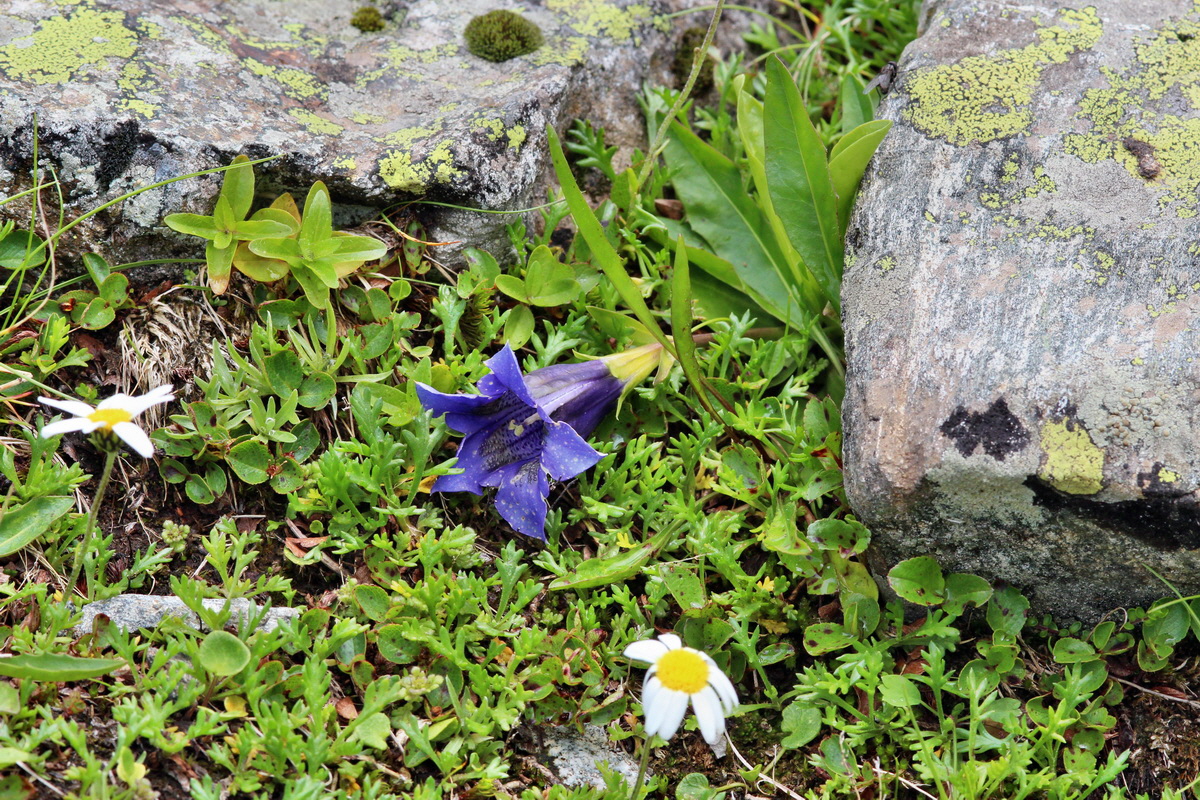 2014_07_29_00006347p_Bildgr��e �ndern