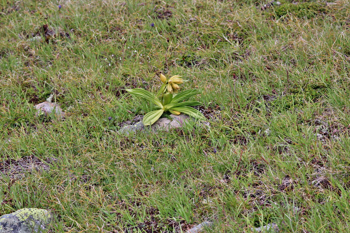 2014_07_29_00006351p_Bildgr��e �ndern