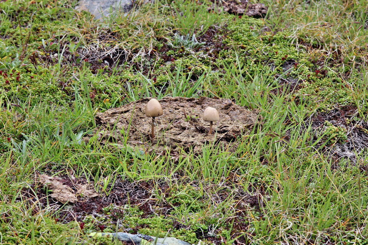 2014_07_29_00006352p_Bildgr��e �ndern