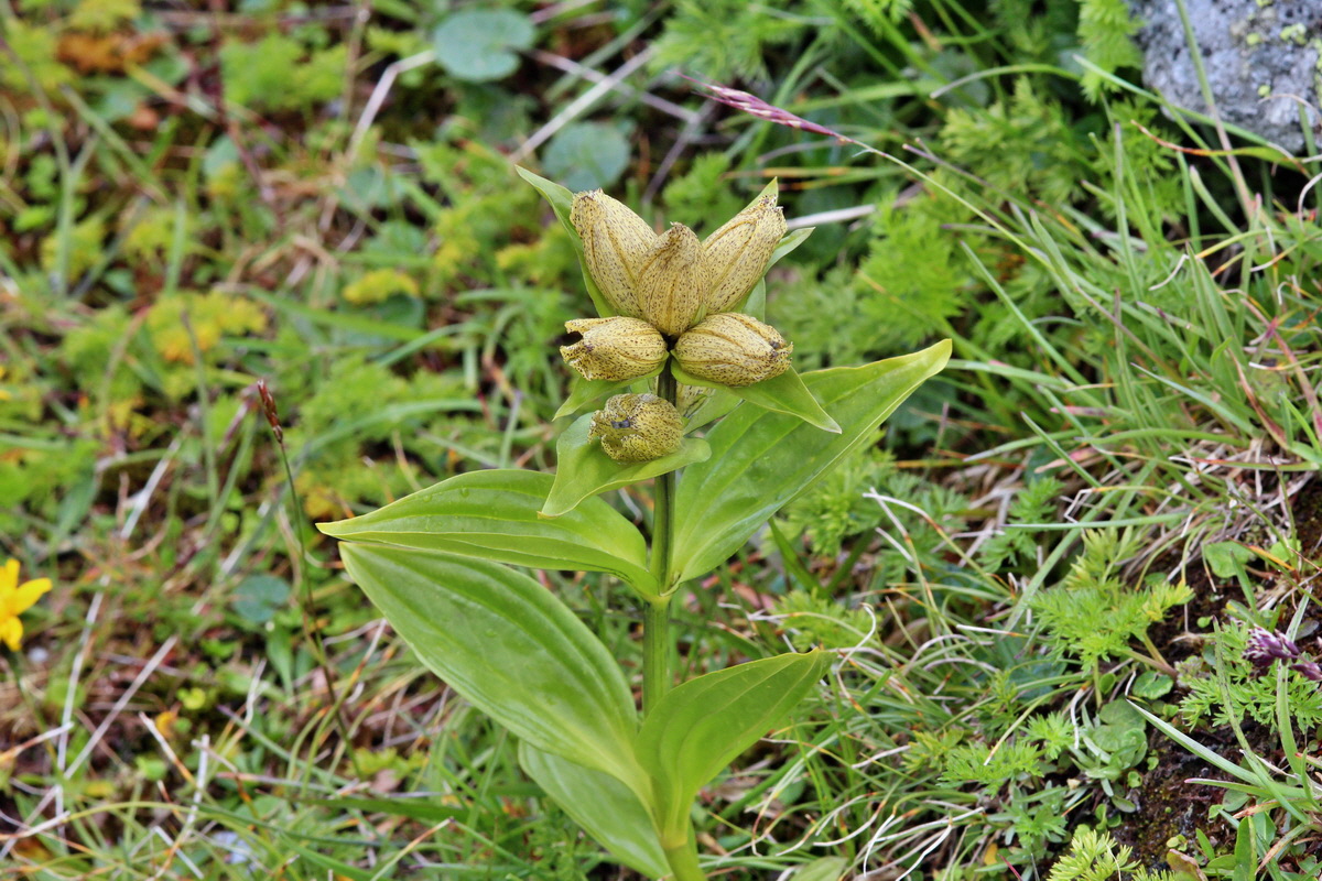 2014_07_29_00006355p_Bildgr��e �ndern