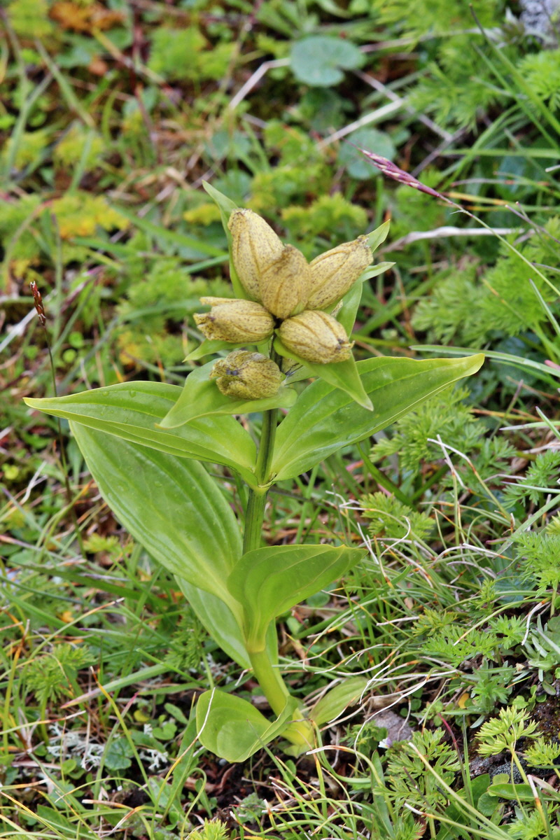 2014_07_29_00006356p_Bildgr��e �ndern