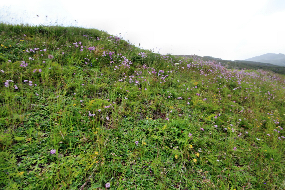 2014_07_29_00006434p_Bildgr��e �ndern