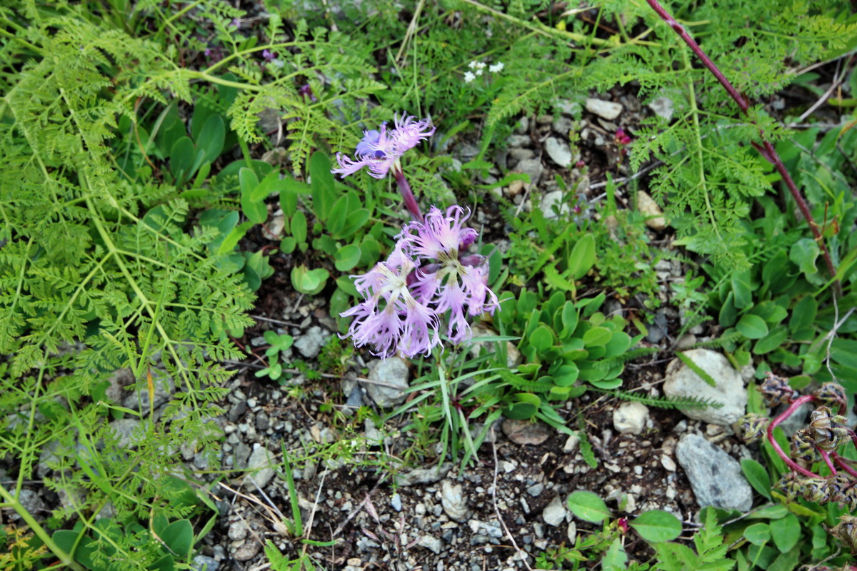 2014_07_29_00006437p_Bildgr��e �ndern