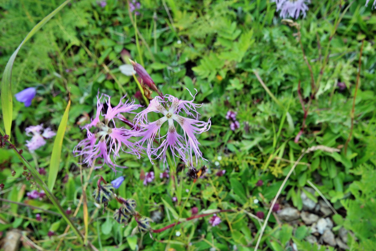 2014_07_29_00006439p_Bildgr��e �ndern