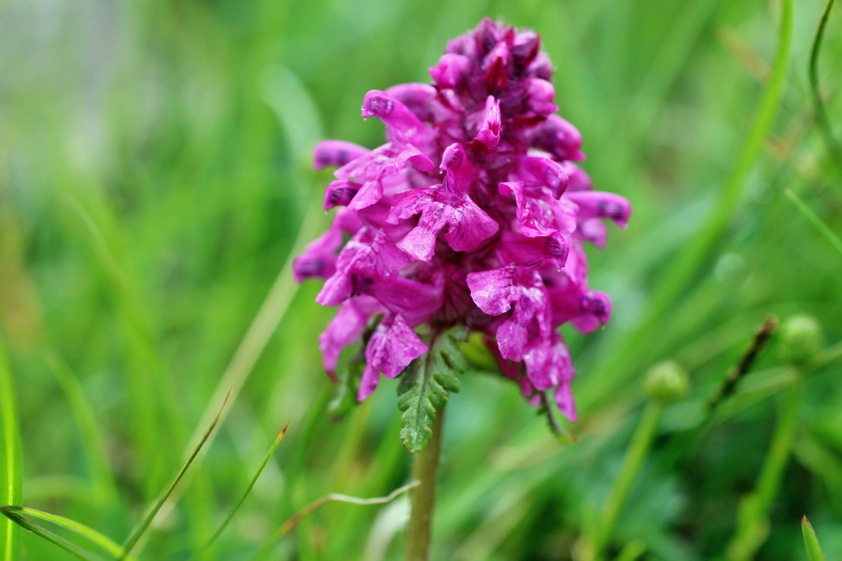 2014_07_29_00006543p_Bildgr��e �ndern