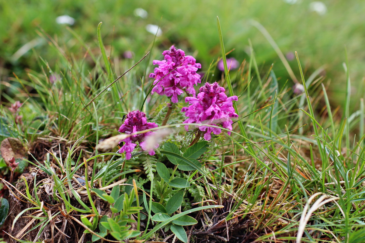 2014_07_29_00006545p_Bildgr��e �ndern