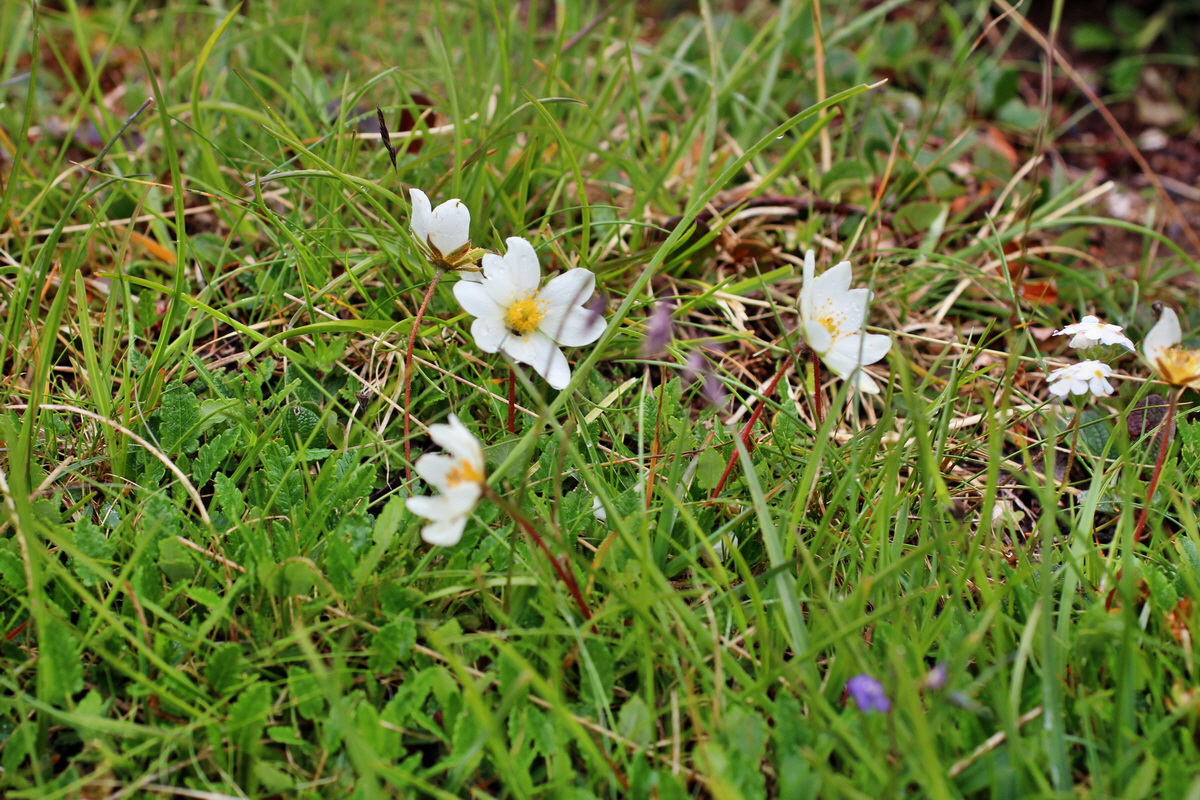 2014_07_29_00006547p_Bildgr��e �ndern