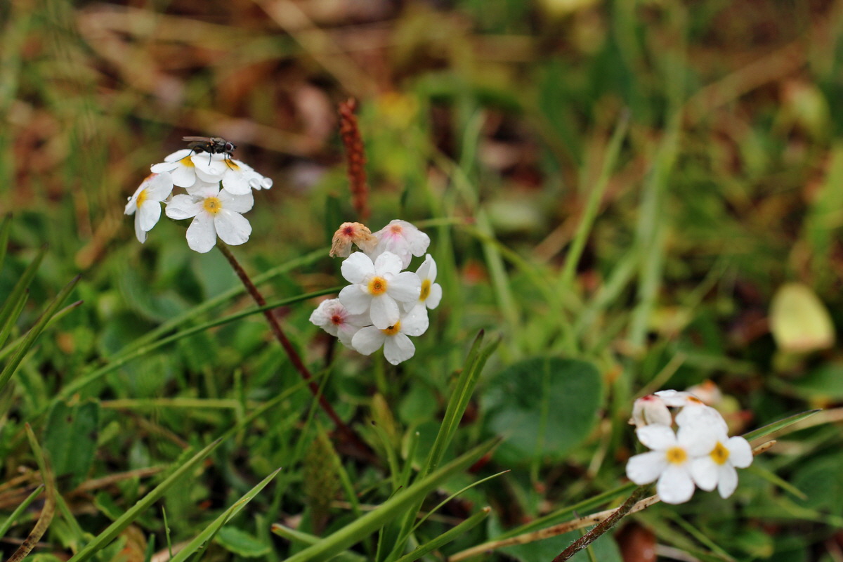 2014_07_29_00006549p_Bildgr��e �ndern