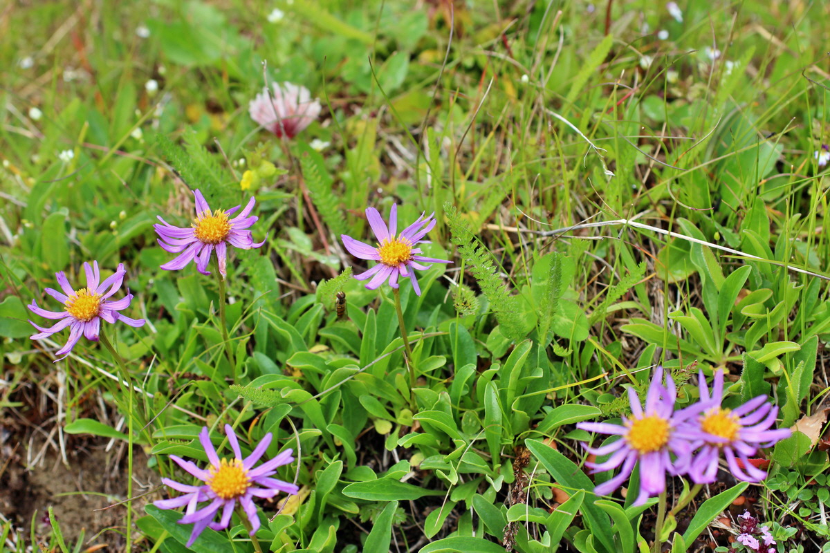 2014_07_29_00006550p_Bildgr��e �ndern