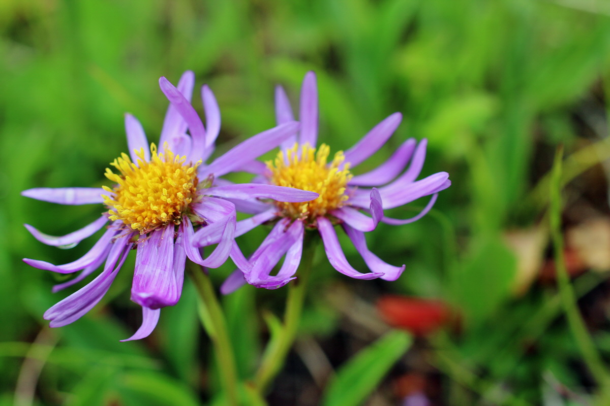 2014_07_29_00006552p_Bildgr��e �ndern